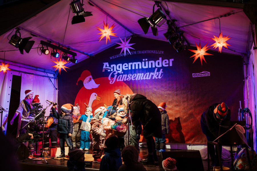 Foto: Gänsemarkt, Maja Koos